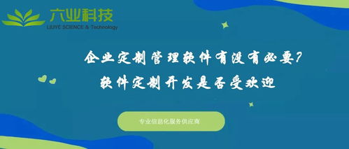 企业定制管理软件有没有必要 软件定制开发是否受欢迎