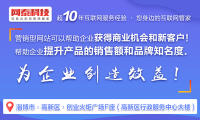 网站设计公司_姜楼网站设计_淄博网泰科技