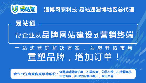 淄博专业的全网推广软件 淄川全网推广软件 淄博网泰科技