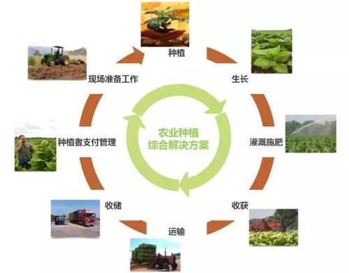 农机经销商要成为农户的 大脑