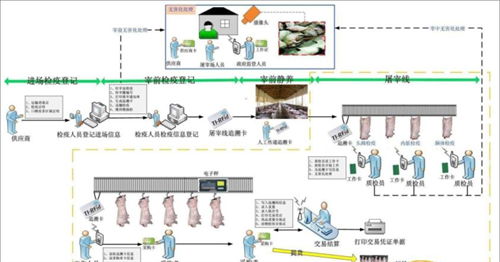 海南屠宰场称重管理软件与淄博定制服务 提升屠宰业智能化水平